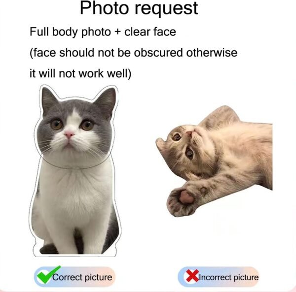 Pet Photo Customization