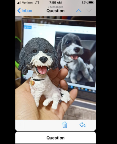 Custom Pet Figurine photo review